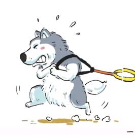 没素汁🐶