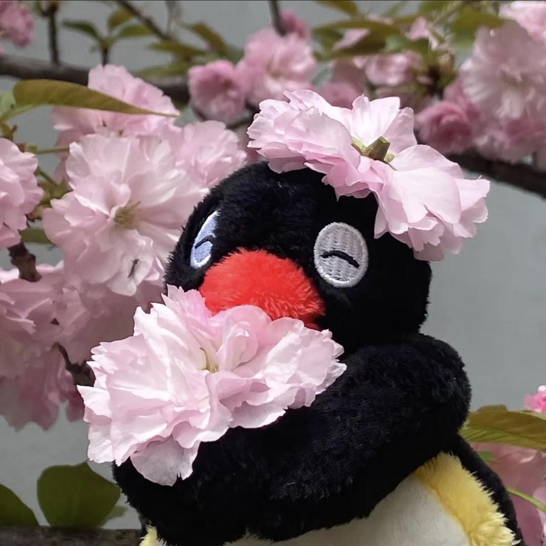不归鱼