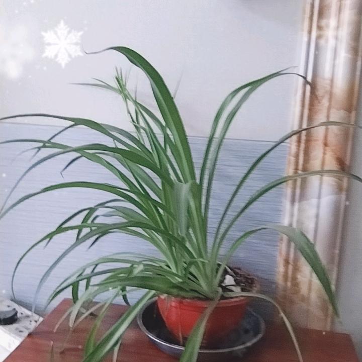 知足常乐