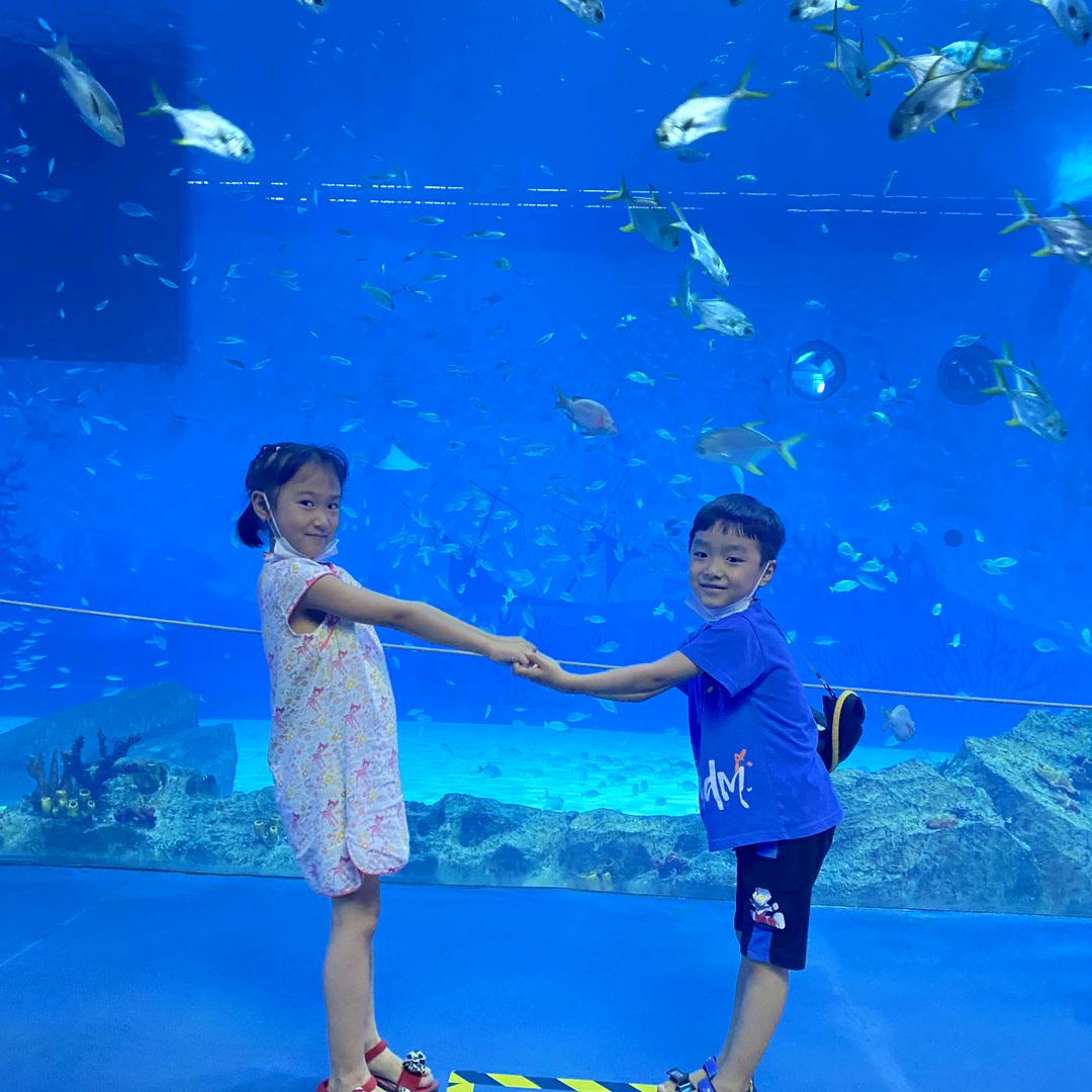 遗失的岁月🌸🌸⁶²⁷