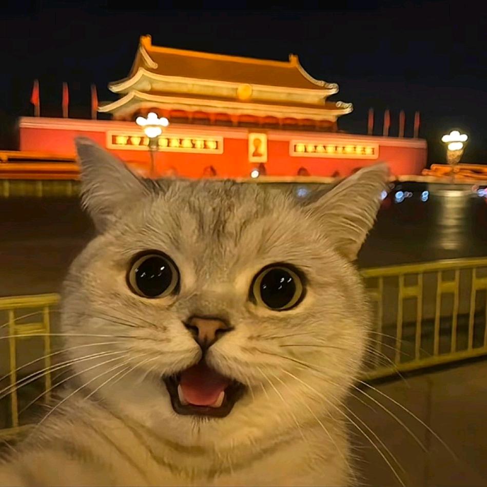 数码体验官—小数码