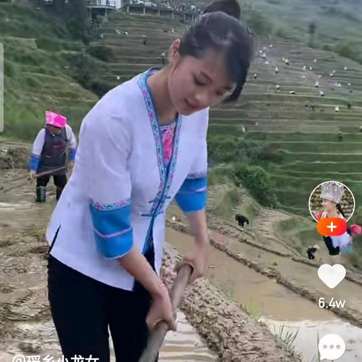 雪连花