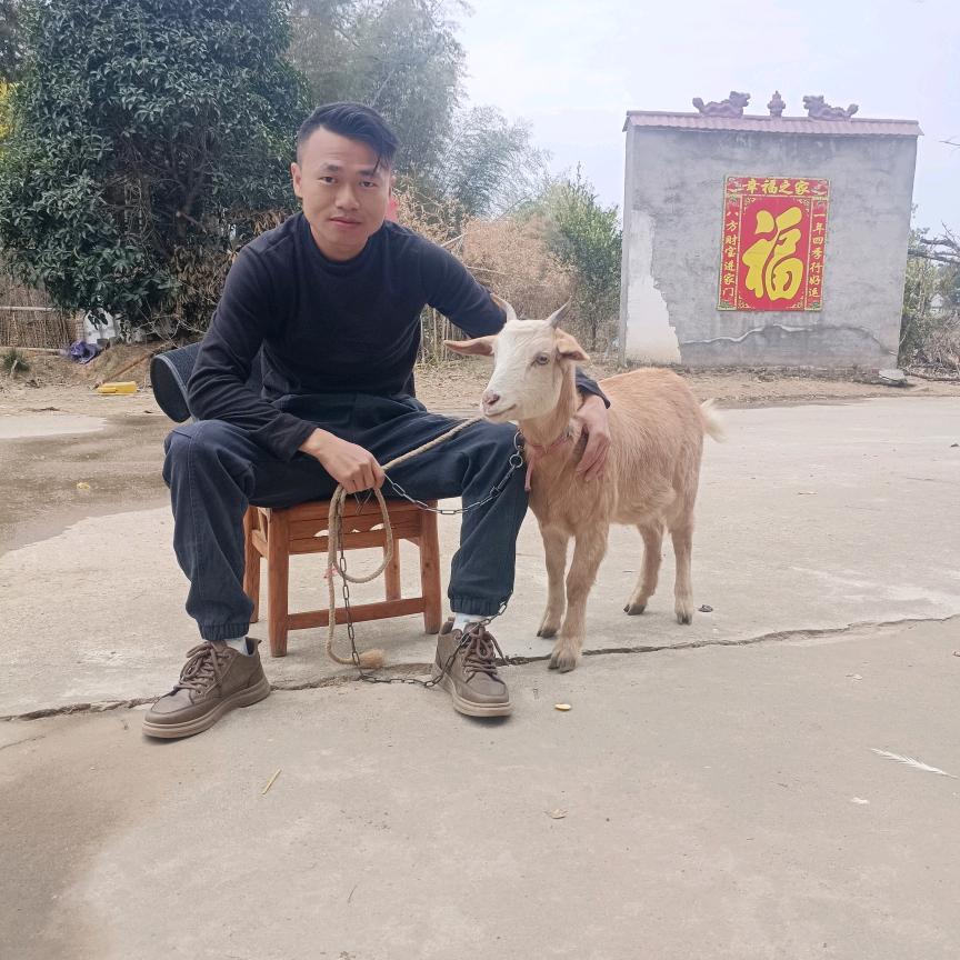 毛哥疯狂的放大招