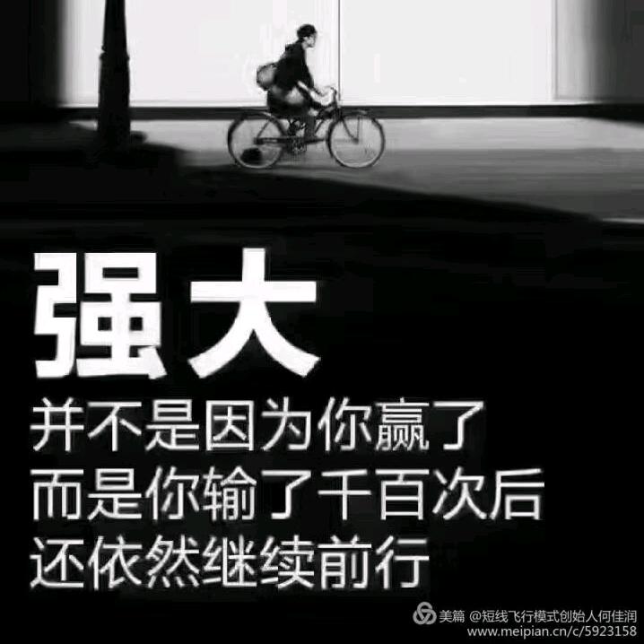 凤凰达 老杨