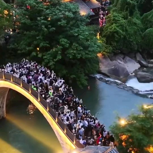 仙人掌