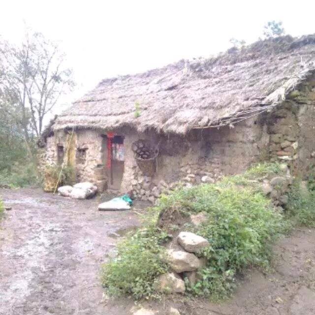 配👉👉角👉👉