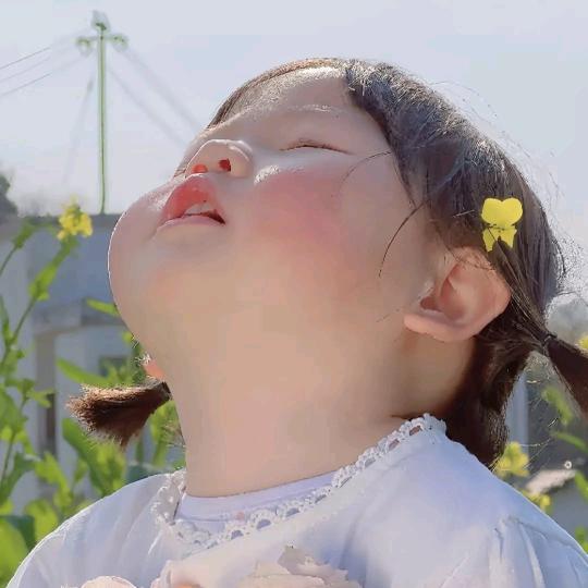 初心未许