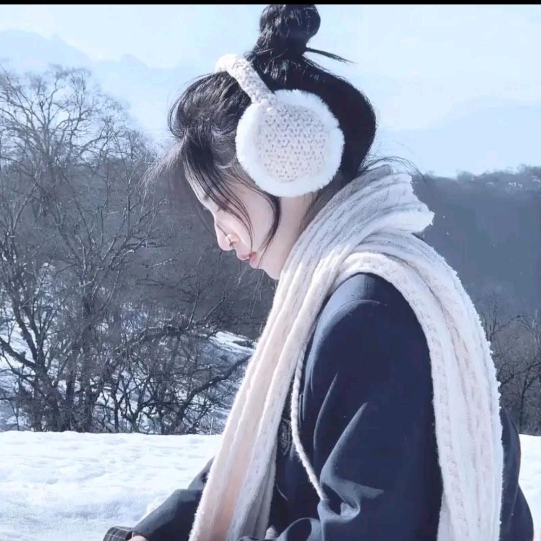 桃汽丸子