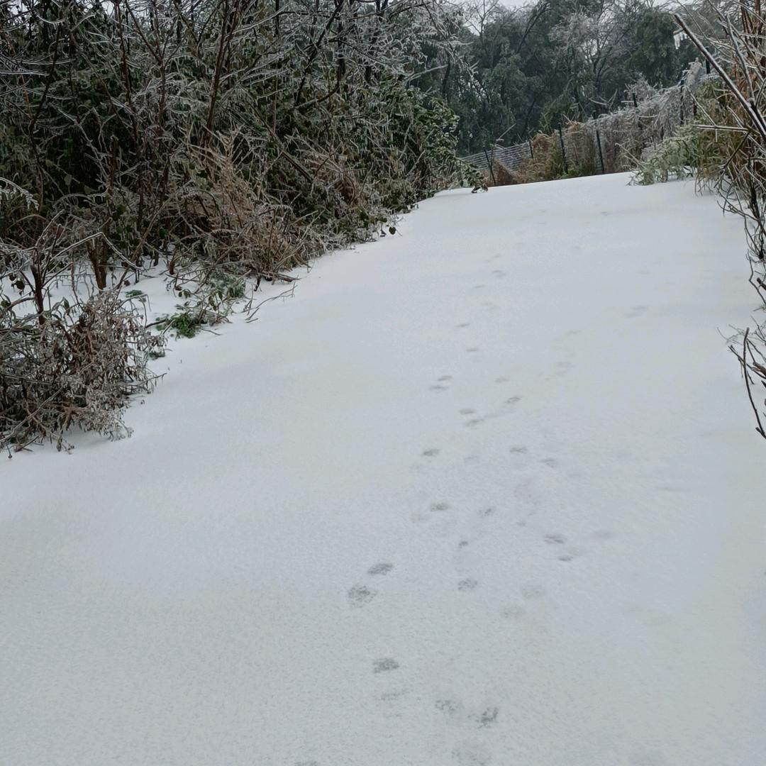 燕子暖暖的