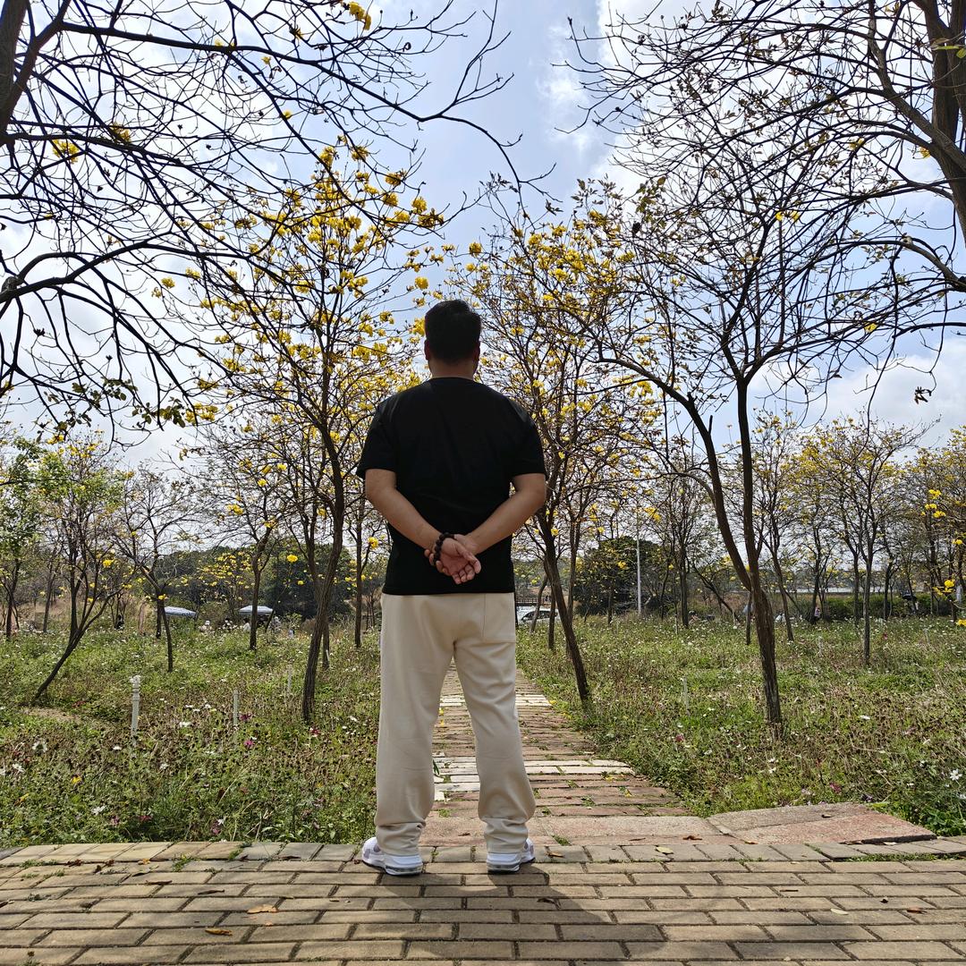 广东伟民定制家居～唐