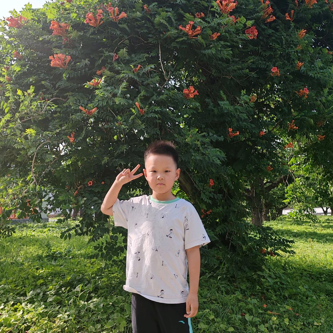 轩辕烨 个税 二次 退