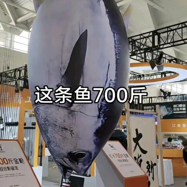 外面有狼。