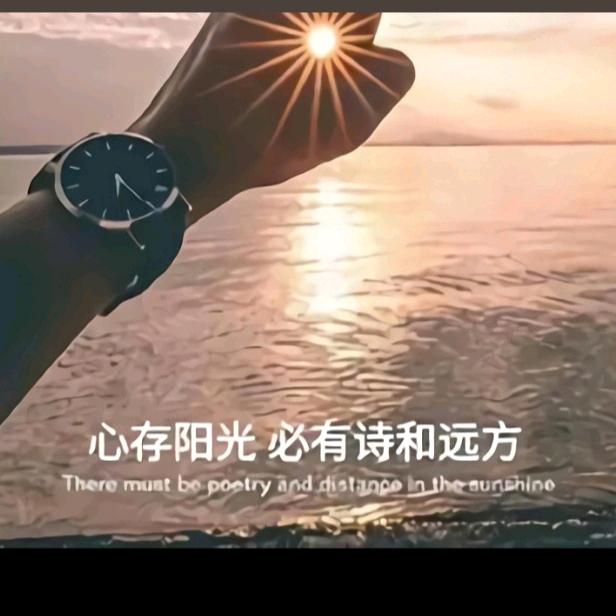 顽强活着SMA航宝
