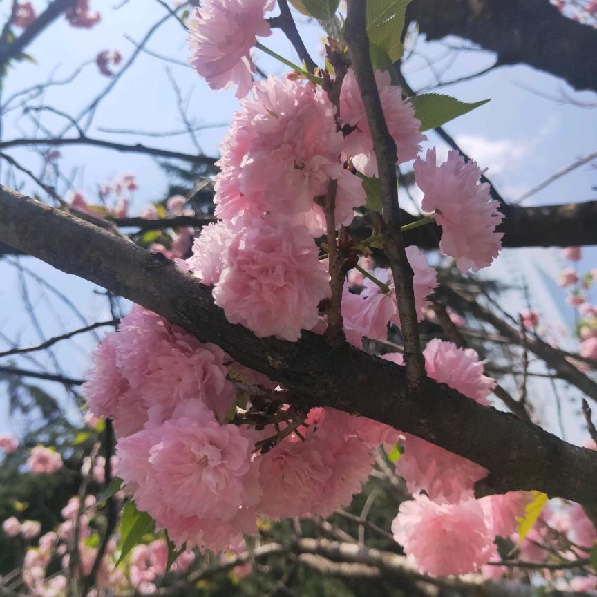 我的世界只有你