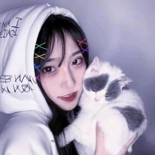 小鱼爱追剧呀