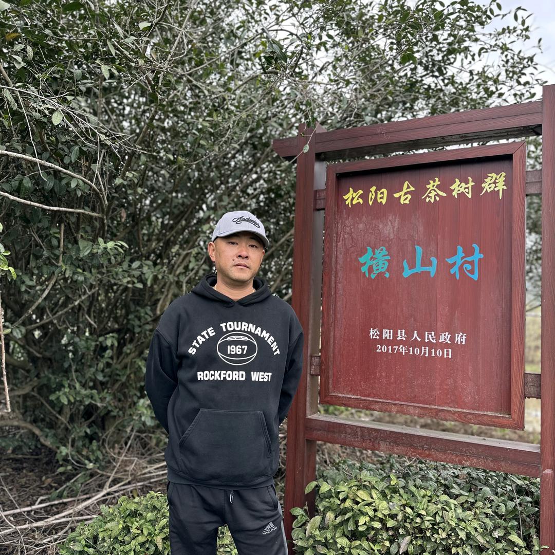 罗.小.柒.的.茶