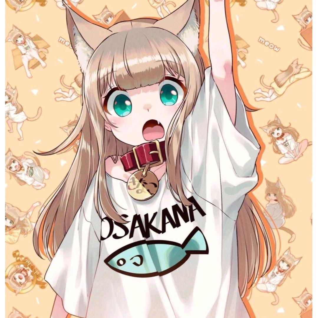 独来独往的猫