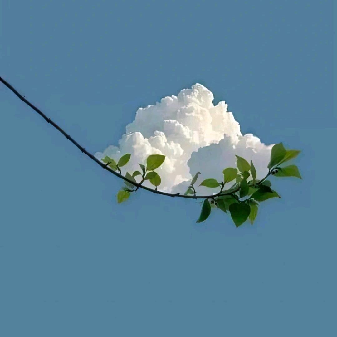 &聆听