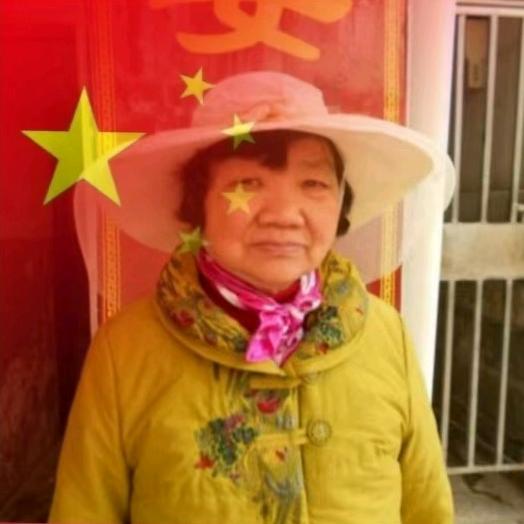 救海外被害华人孝德善根亲