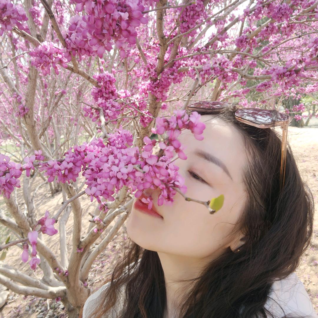 心若菩提🙏菩提仙知🙏