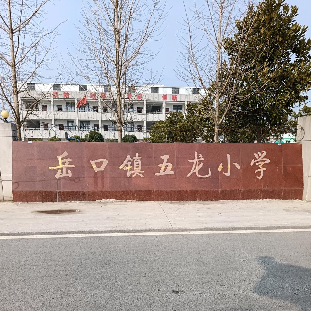 252追梦人