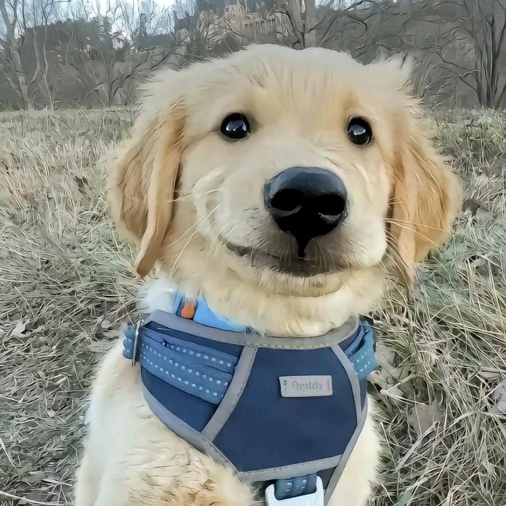 🌈吃橙子要剥皮🌜⃢👁ܫ👁⃢✨