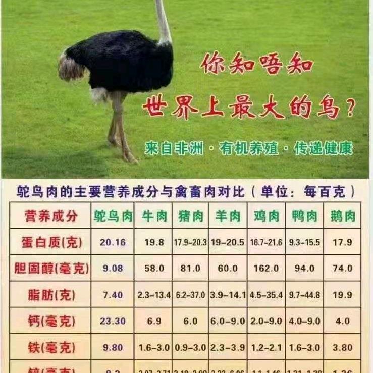 阿伦养殖