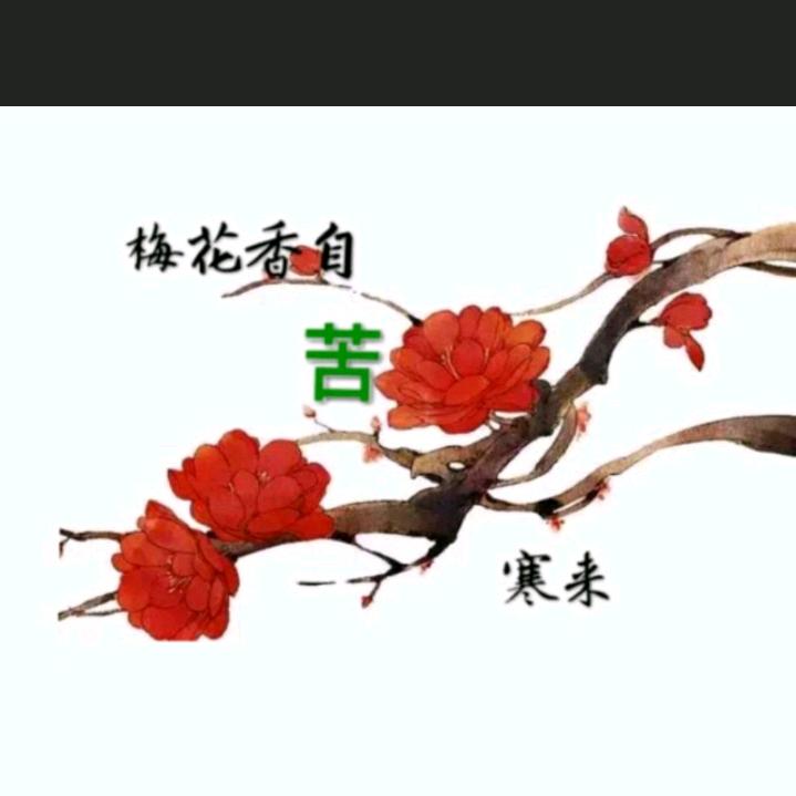 《张》