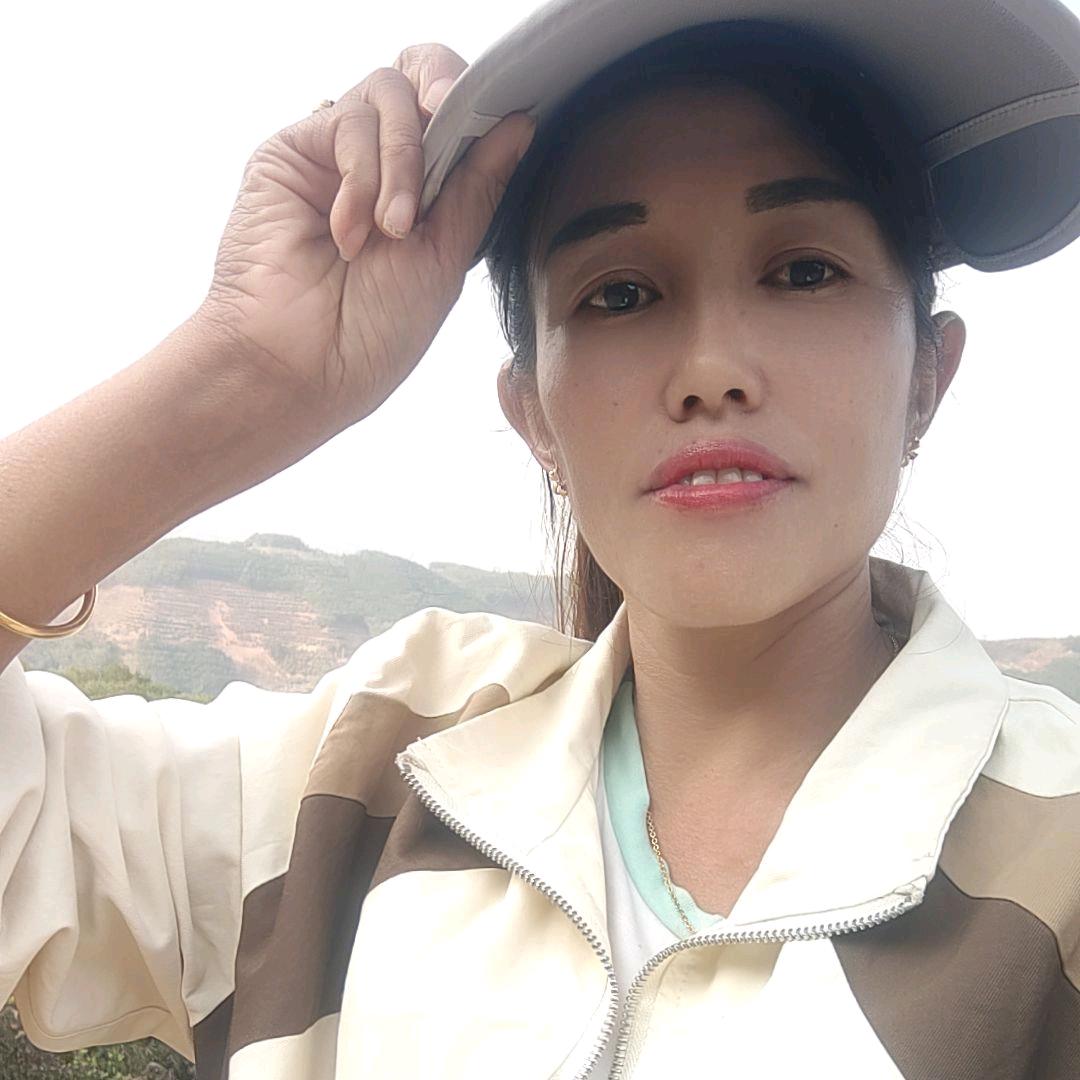 小燕子  小号