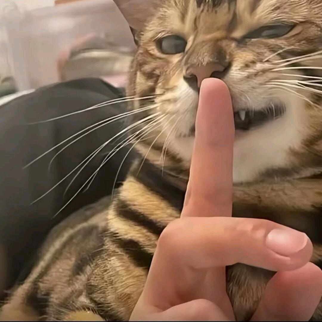 ¢