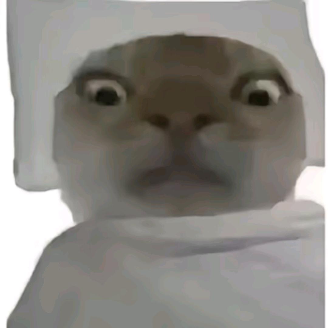 个寄