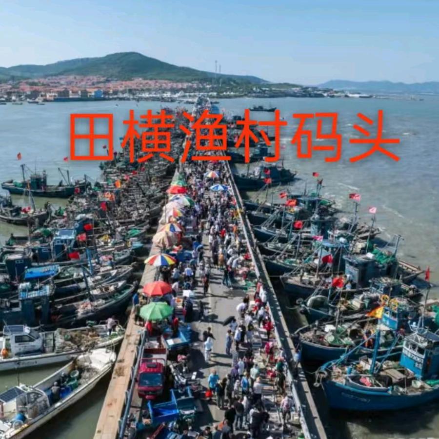 田横渔村码头（陈涛海鲜）