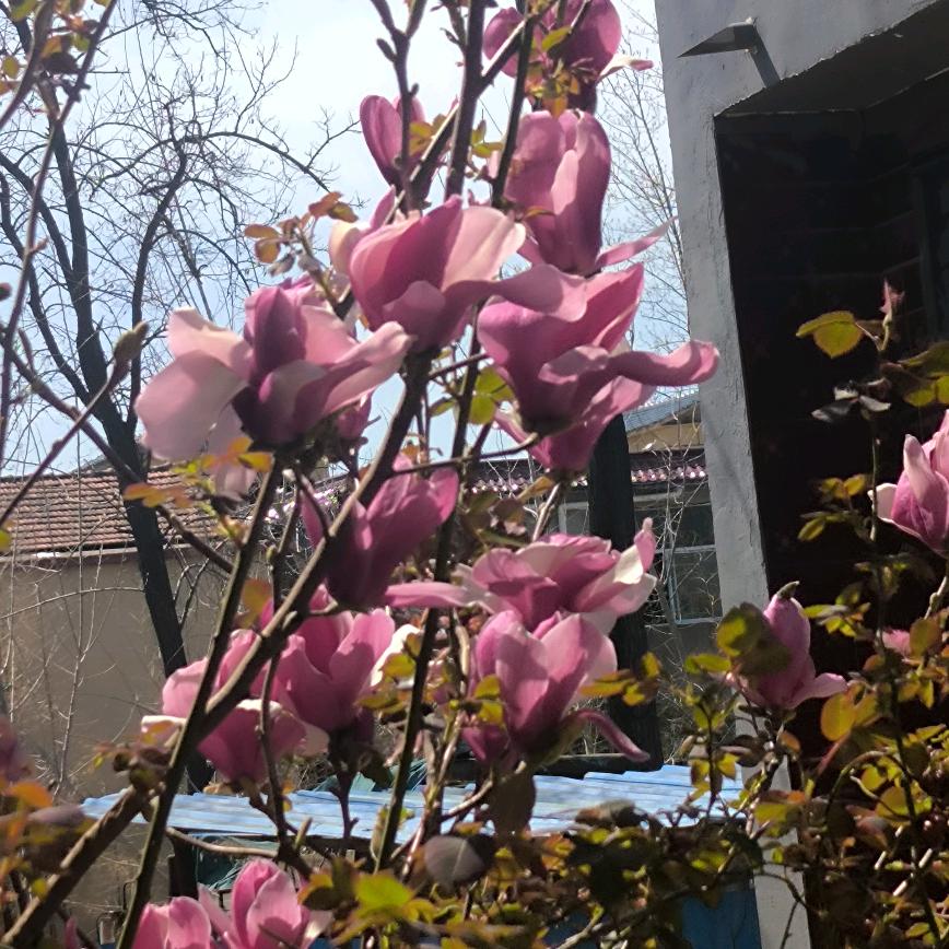 承永心爱你永不变