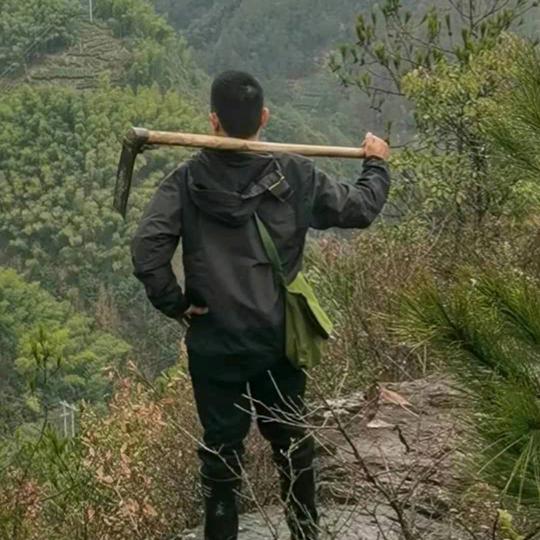 陈先生