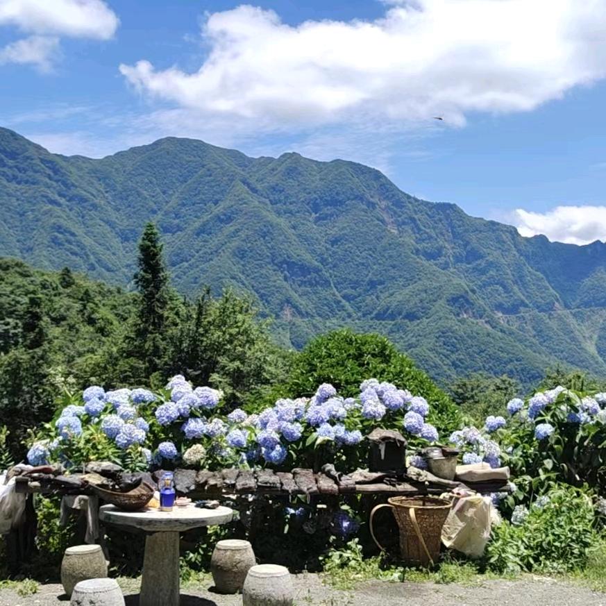 为爱痴狂( っ'-')╮ =͟͟͞͞🏀