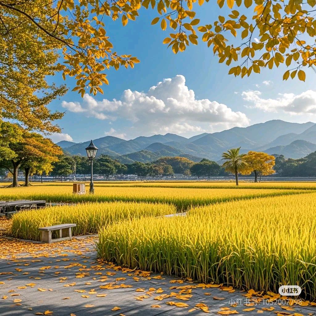 珂 珂