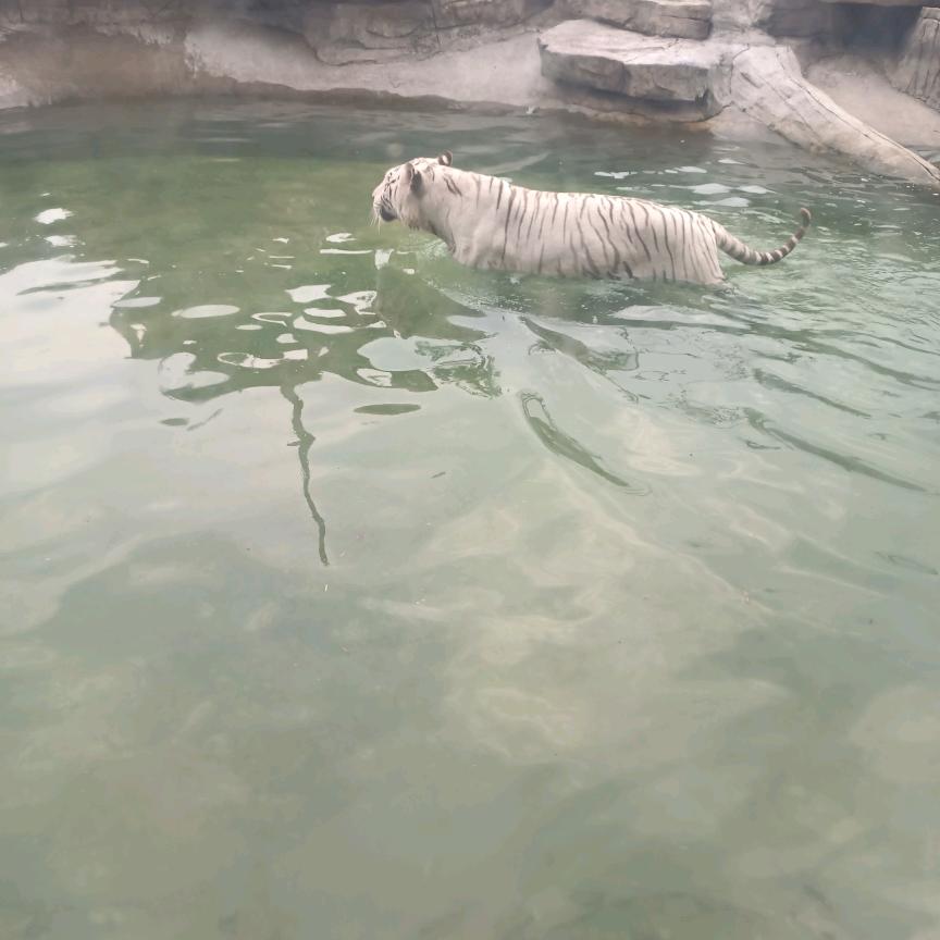 《一帆风顺》
