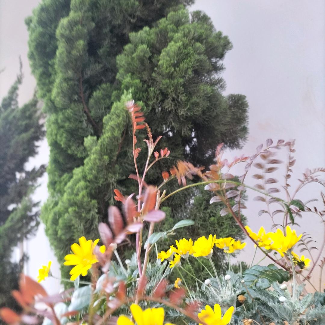 奋斗目标