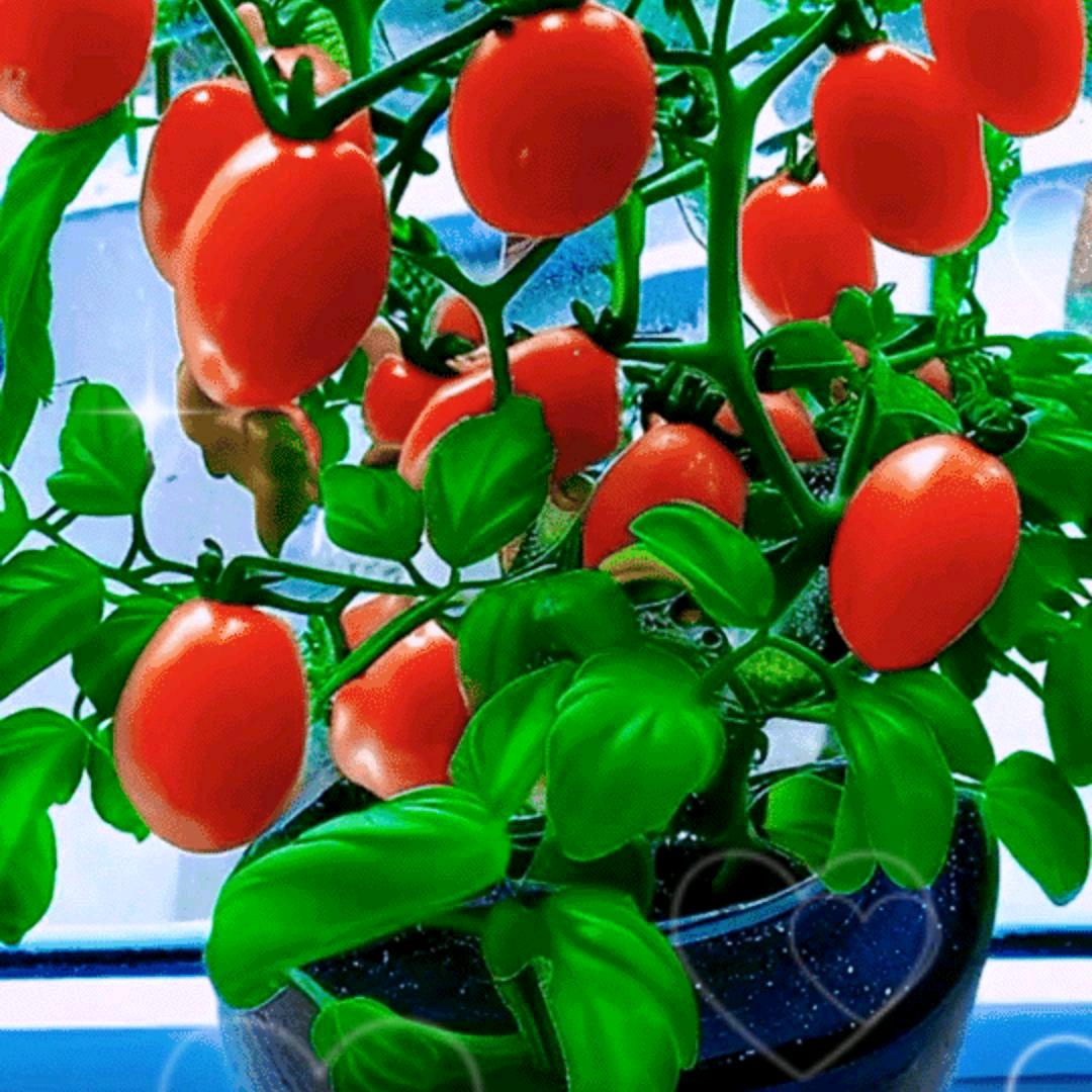 用户3444221197254陈星国