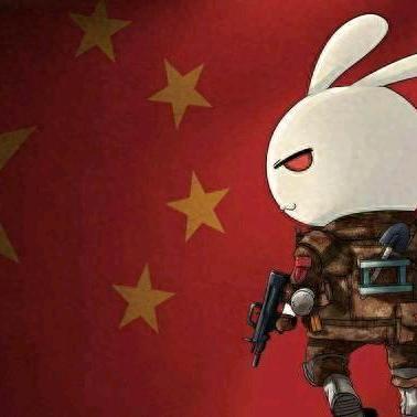 汪事随风