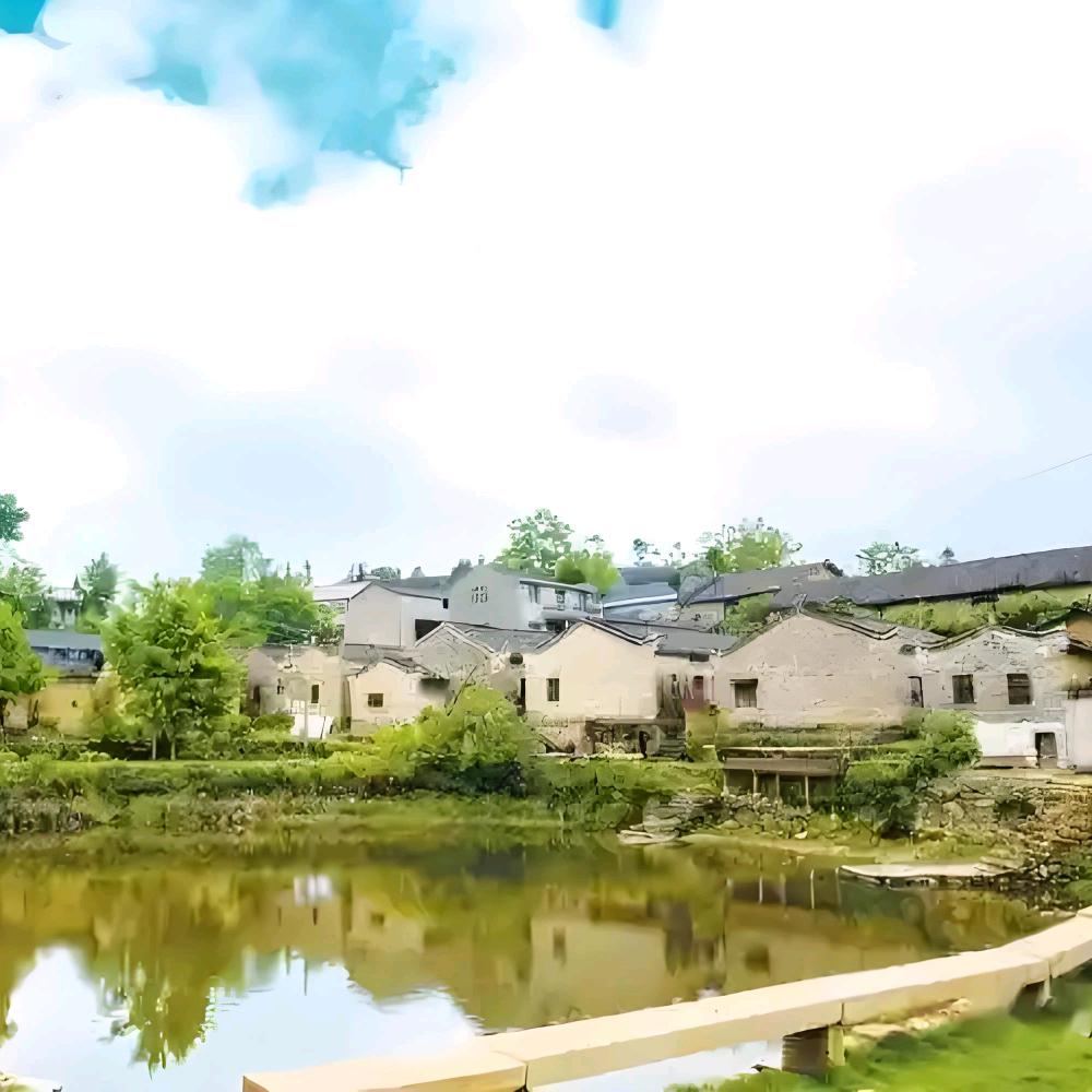 东垸村(映山红)