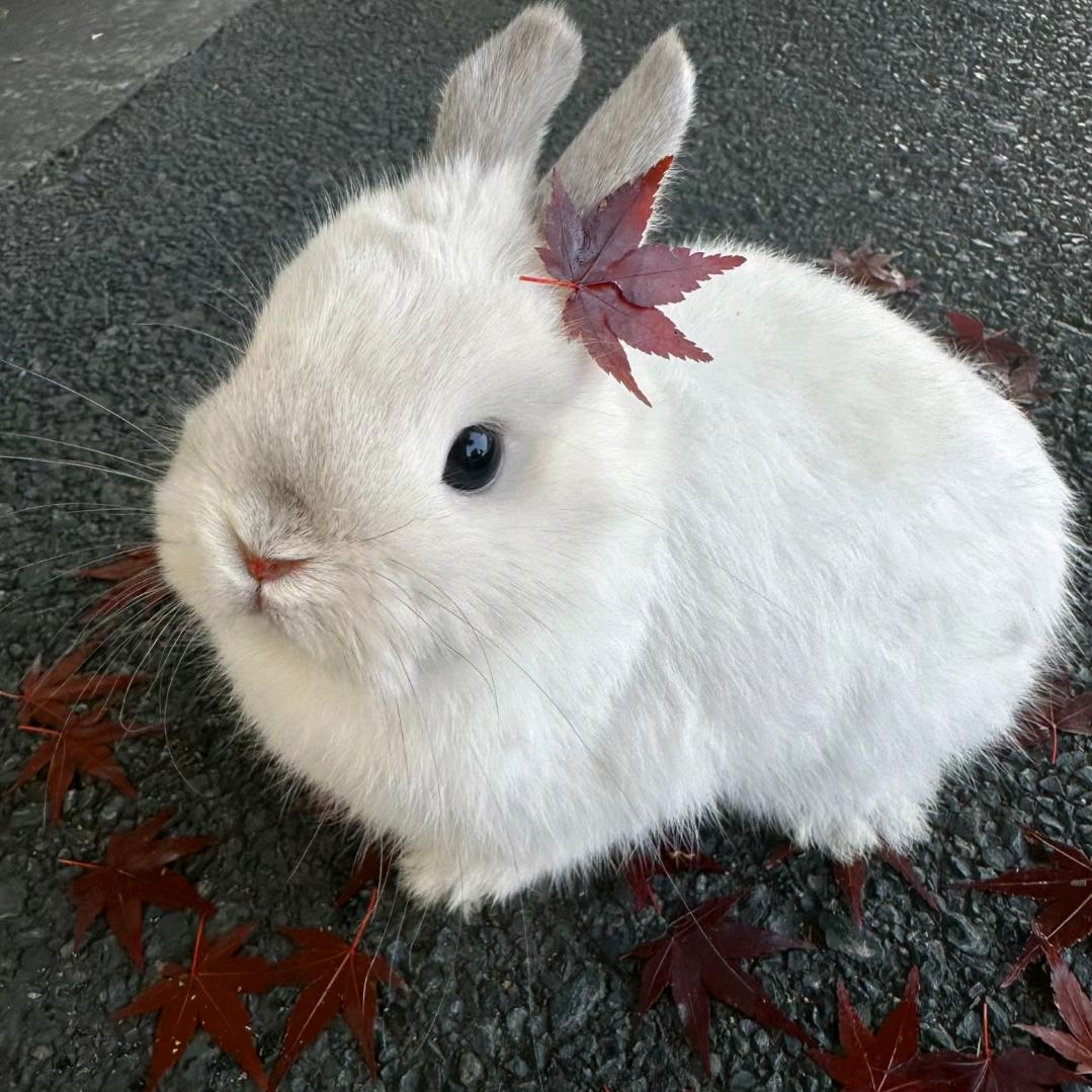 truski