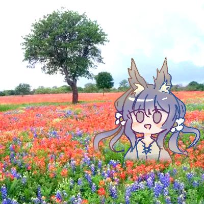 九川