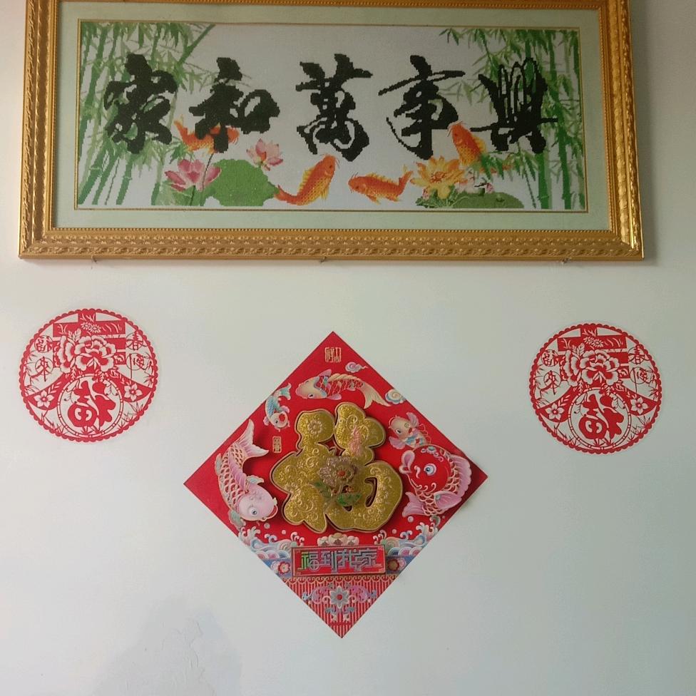 直导人