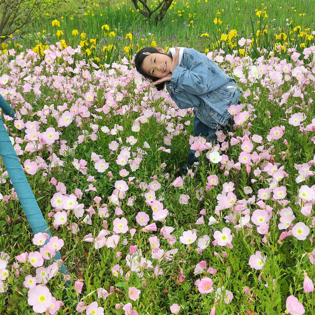 迩不懂莪、莪不怪迩