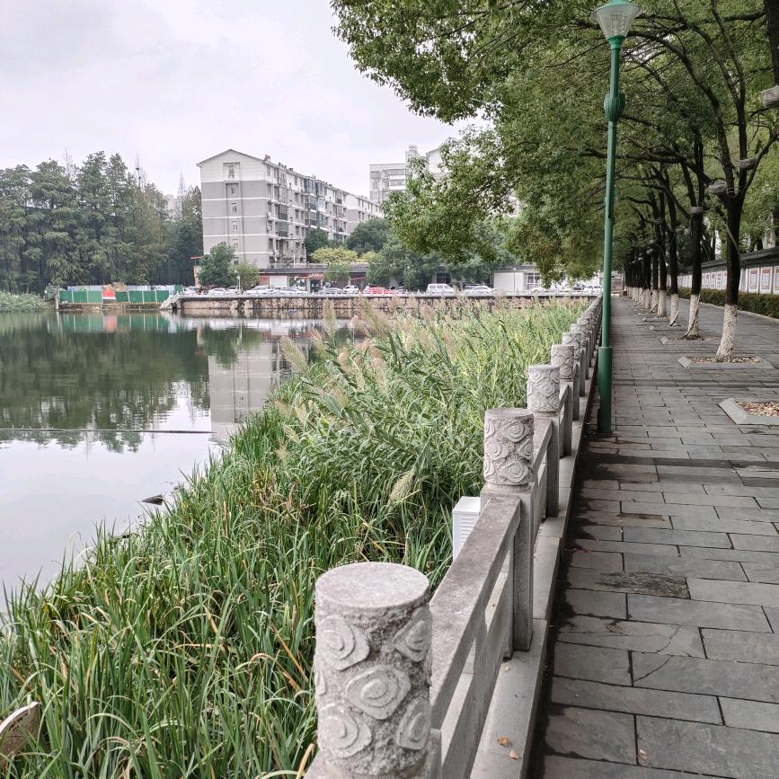 🌸🌸爱在初秋🪶(合适即好)一一一一