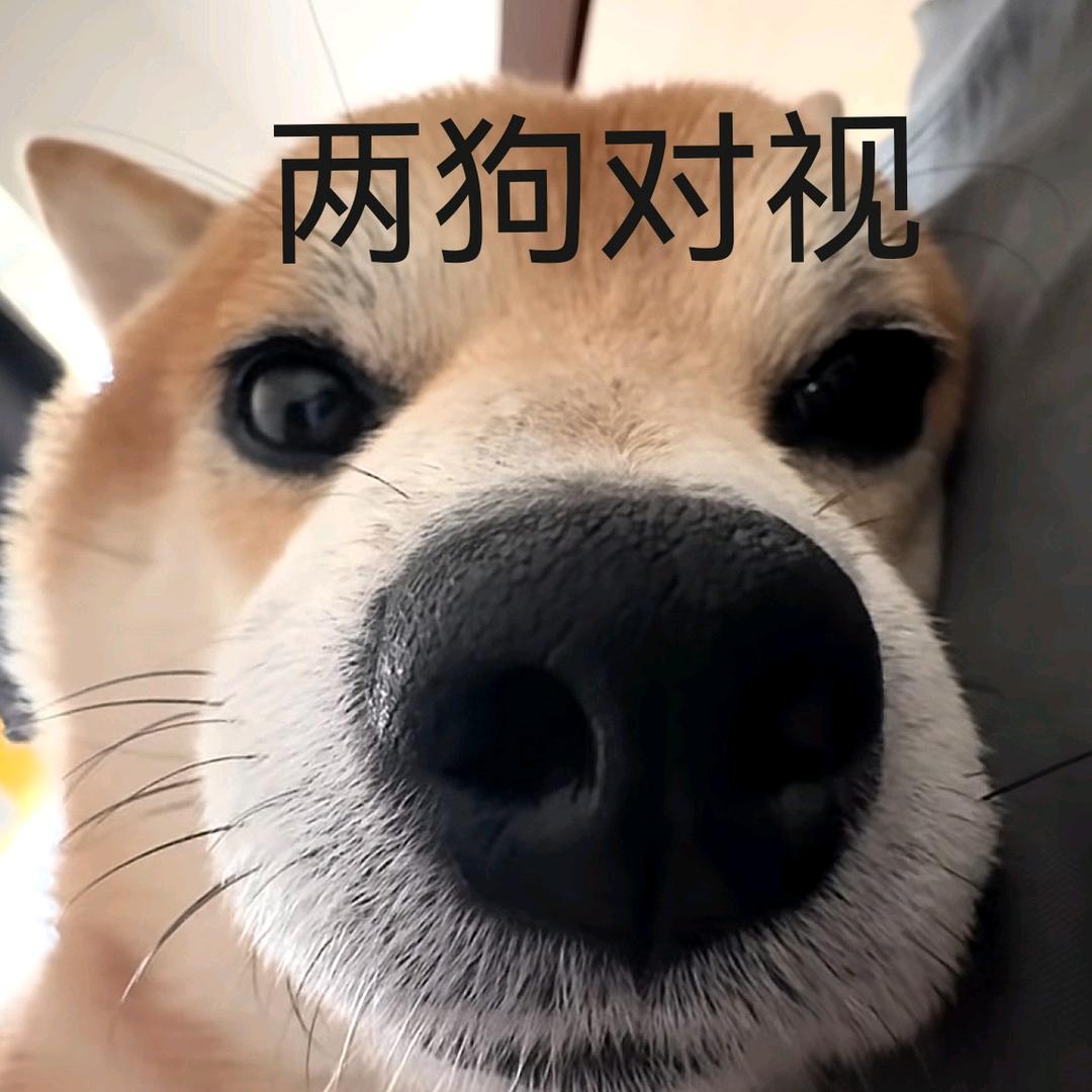 顶呱呱