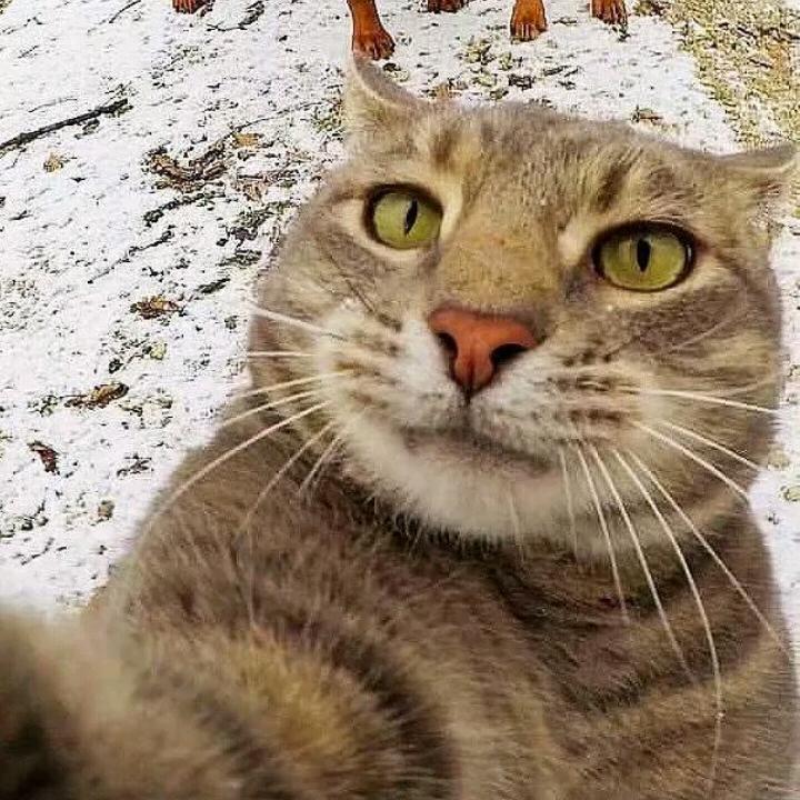 阳阳阳