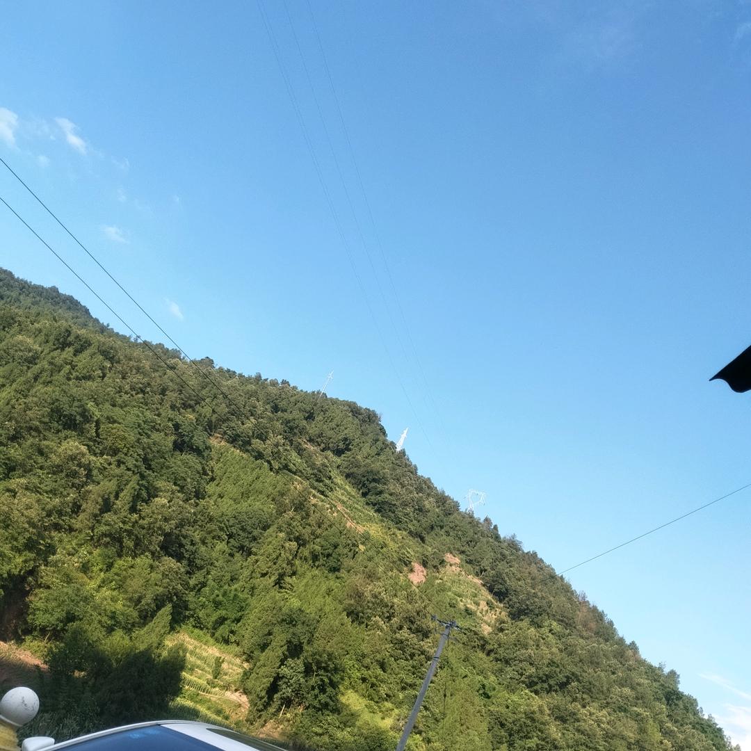 小板(邓)