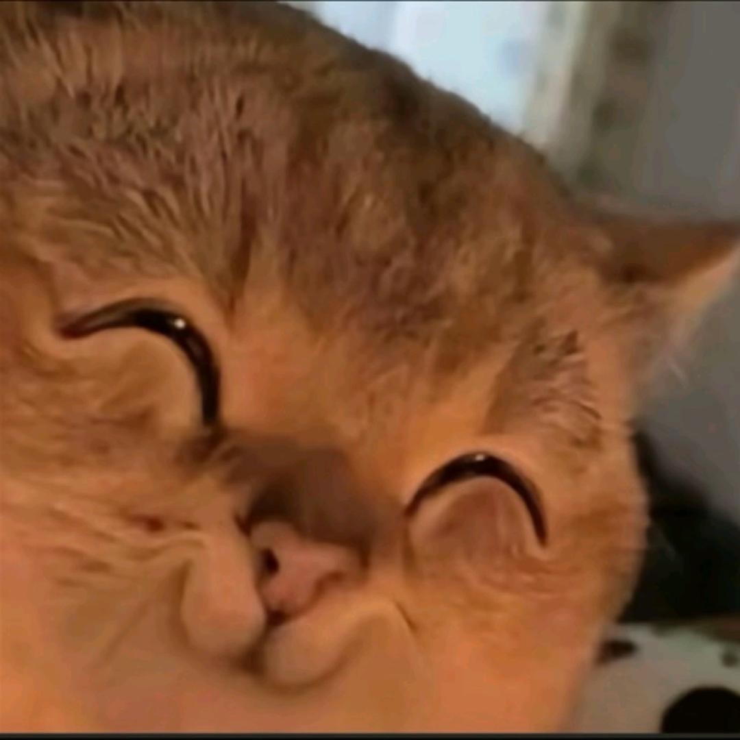 凡凡